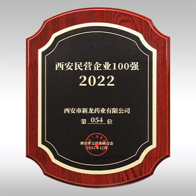 2022年西安民營企業100強